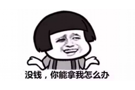 高阳企业清欠服务