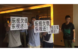 高阳贷款清欠服务